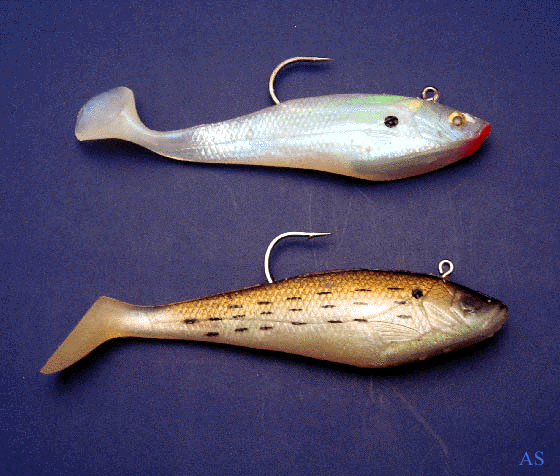 Swim Shads are great striped-bass fishing lures. They are very realistic and 