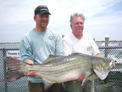 Big Fish