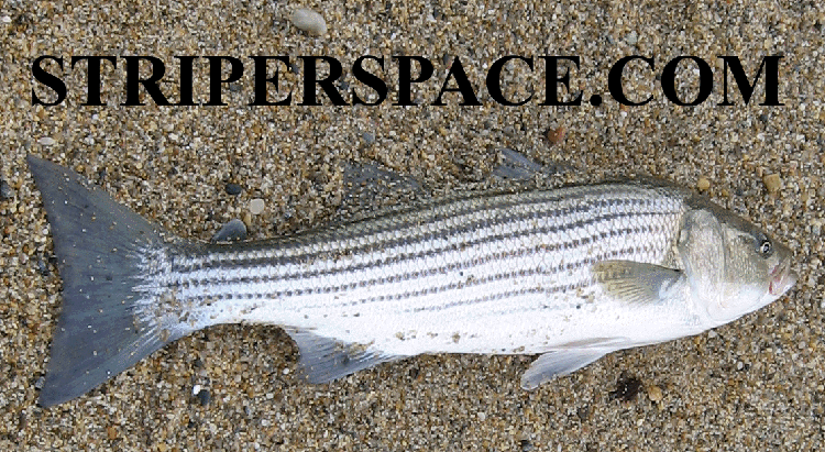 Bob's Striper