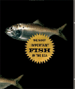 Most Important Fish in the Sea