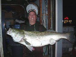 Larry Weidner