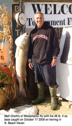 Matt Onofrio