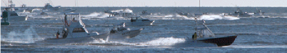 Mid-Atlantic Rockfish Shootout
