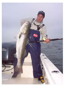 Bill Donovan's Striper
