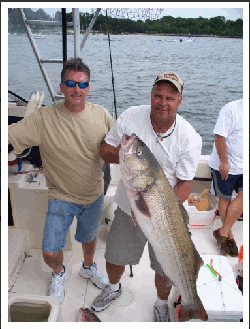 PorgyPine Fish2