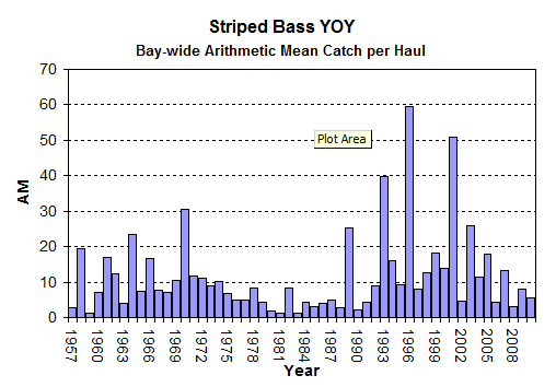 Striped Bass Young of Year Index Chart