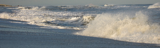 The Surf 