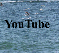 YouTube Link
