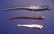 Soft Plastic Fishing Lures