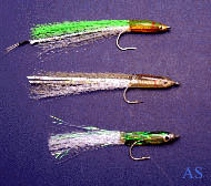 Striped Bass Fly Fishing