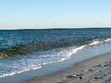 Bait Pods Close to Shore