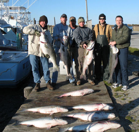 Oregon Inlet Stripers 