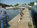 Young Tournament Participant