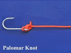 Palomar Knot