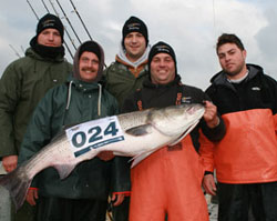 Team Insufishent Funds 38
