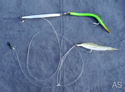 Sand Eels and AVA Fishing Lures