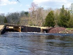 Fish Ladder at Batsto, NJ