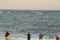 Striper Blitz at Montauk