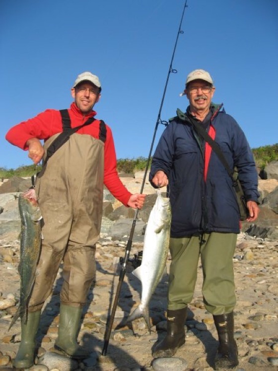 Two Nice Bluefish