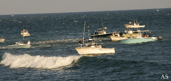 Striped Bass Fishing Boats