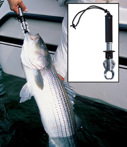 Striped Bass Fishing Accessories