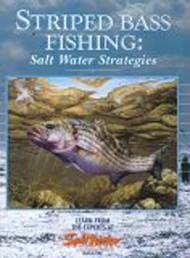 Book - Saltwater Strategies 