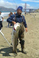 California Striper