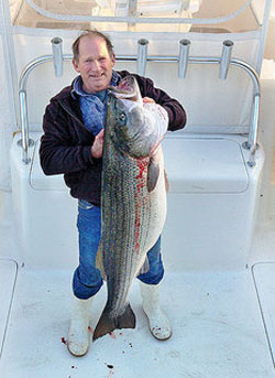 73 Pound Striper