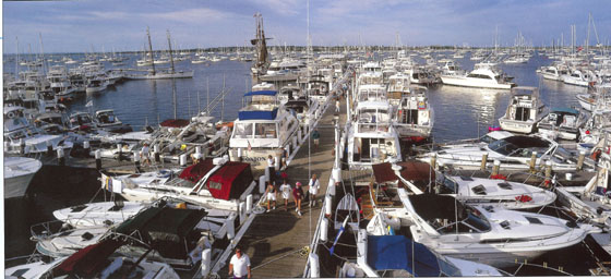 Chaplin's Marina