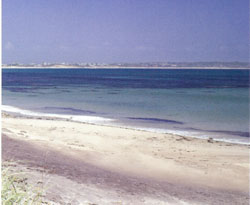 Crescent Beach