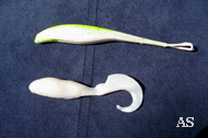 Berkly Gulp Sand Eels and Swimming Mullett