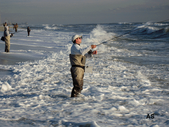  Fly Fisherman at IBSP