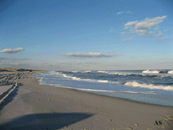 Island Beach State Park