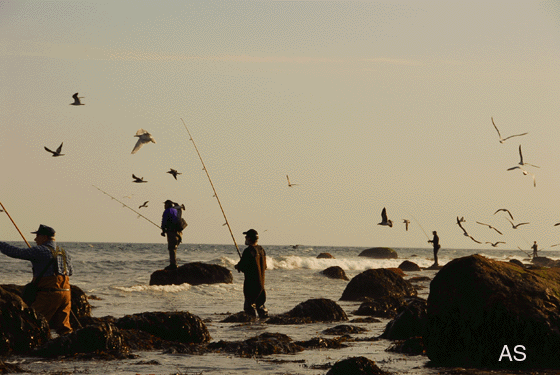 Where You Need Korkers, Montauk 