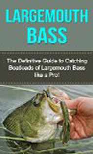 Book - Largemouth Bass: Definitiv Guide