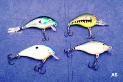 Crank Baits for Largemouth Bass Fishing