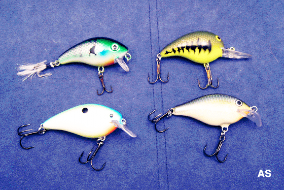 Crank Baits for largemouth bass fishing 