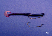 Rubber Worm Texas Rig