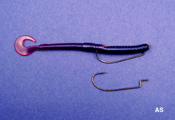 Largemouth Bass Fishing Lure and Rig Photos