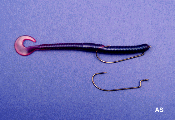 Texas Rigged Rubber Worm