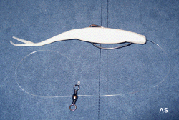 Zoom Super Fluke Rig