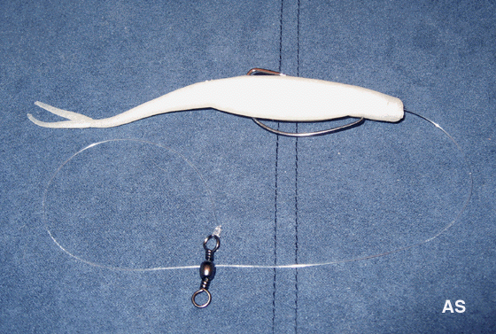 Zoom Super Fluke Rig