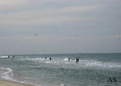 Surf Fishermen at Mantoloking, N J