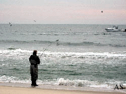 Surf Fisherman Snagging Bunker