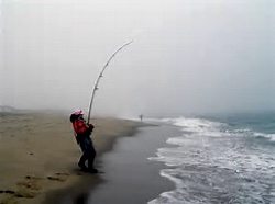 Martha's Vineyard Surf Fishing