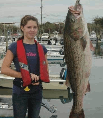 Juliana Merighi's Striped Bass