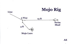 Mojo Rig