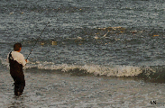Fishing Striper Blitz at Montauk