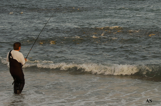 Striper Blitz at Montauk 