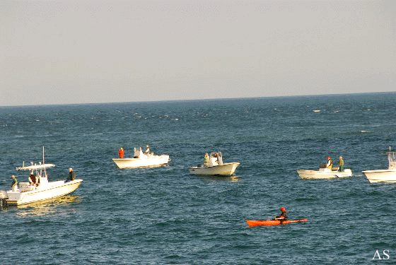 Montauk Kyak Fishing a Blitz  